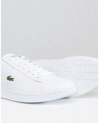 Мужские белые кеды от Lacoste