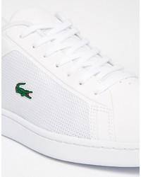 Мужские белые кеды от Lacoste