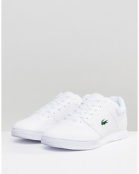 Мужские белые кеды от Lacoste