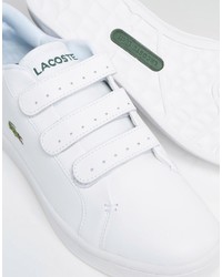 Мужские белые кеды от Lacoste
