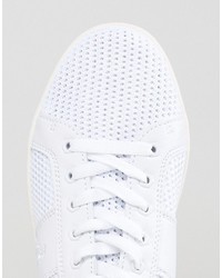 Мужские белые кеды от Original Penguin