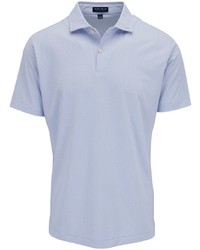 Мужская голубая футболка-поло с принтом от Peter Millar