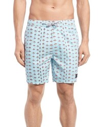 Голубые хлопковые шорты с принтом