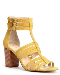 Желтые гладиаторы