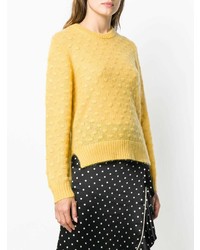Женский желтый свитер с круглым вырезом от Baum Und Pferdgarten