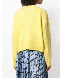 Женский желтый свитер с круглым вырезом от Erika Cavallini