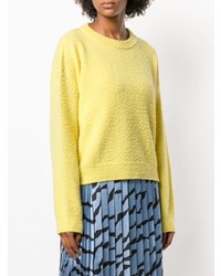 Женский желтый свитер с круглым вырезом от Erika Cavallini