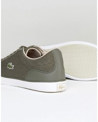 Мужские оливковые кеды от Lacoste