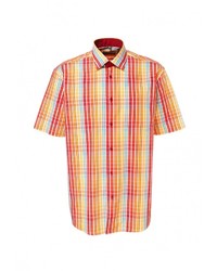 Мужская разноцветная рубашка с коротким рукавом от GREG