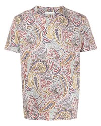 Мужская разноцветная футболка с круглым вырезом с "огурцами" от Etro