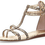 Разноцветные гладиаторы