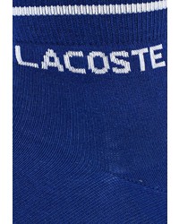 Мужские разноцветные носки от Lacoste
