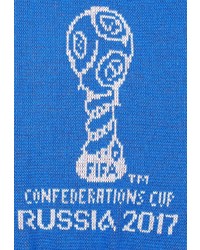 Мужской разноцветный шарф от FIFA Confederations Cup Russia 2017