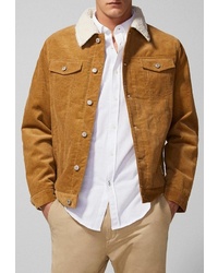 Мужская табачная замшевая куртка-рубашка от SPRINGFIELD