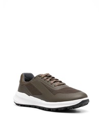 Мужские темно-зеленые низкие кеды от Geox