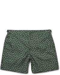 Темно-зеленые шорты для плавания с принтом от Dolce & Gabbana