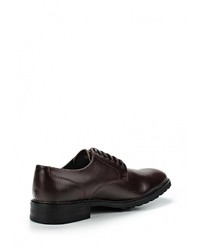 Мужские темно-коричневые кожаные туфли от Call it SPRING