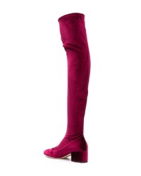 Темно-пурпурные замшевые ботфорты от Sergio Rossi