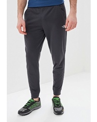 Мужские темно-серые спортивные штаны от The North Face