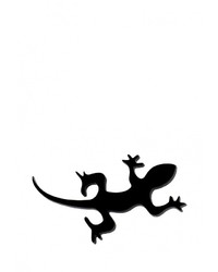 Черная брошь от Спартак