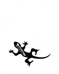 Черная брошь от Спартак